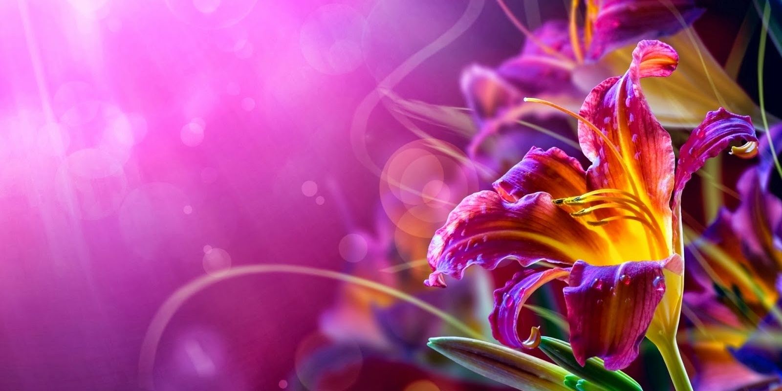 eeelsaa's profile banner image