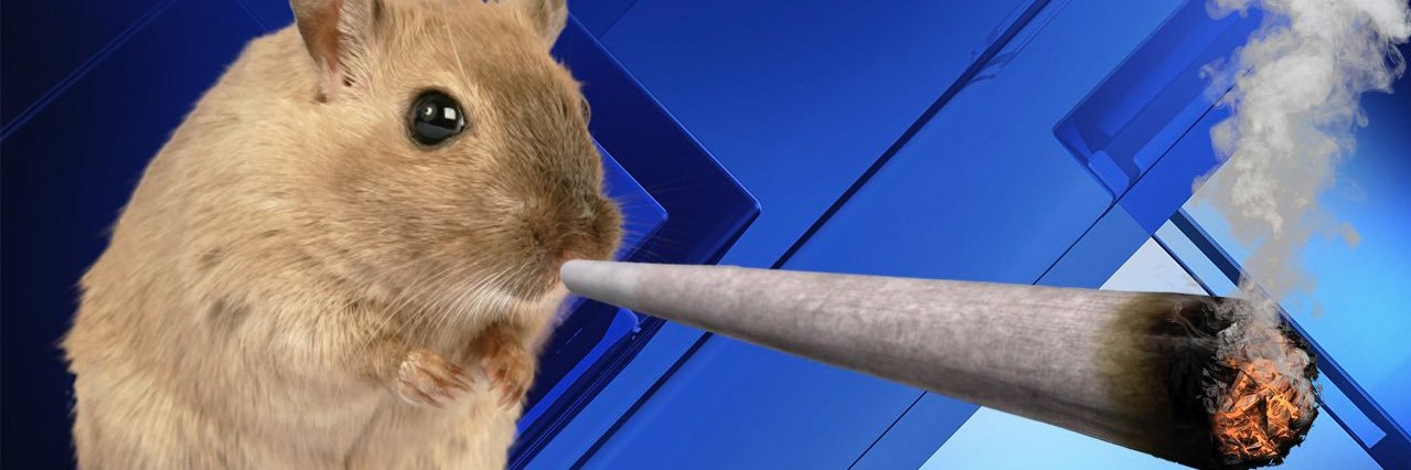 ______6__9's profile banner image