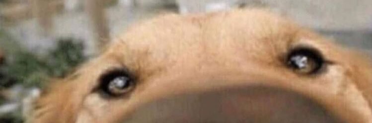 kristothetopher's profile banner image