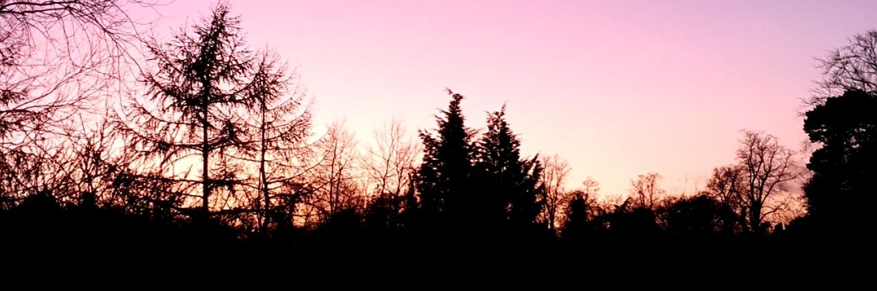 davi04c's profile banner image