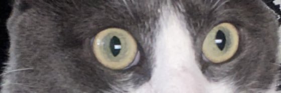 tunsieni's profile banner image
