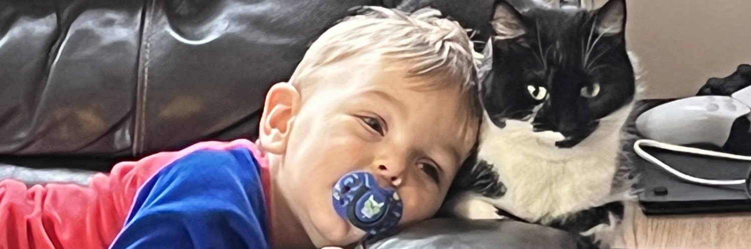 stomaref's profile banner image