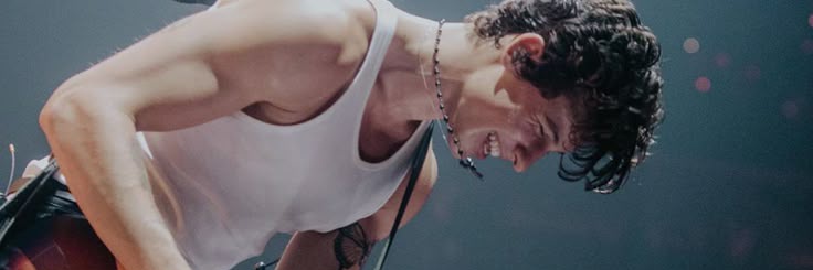 mendeslipamix's profile banner image