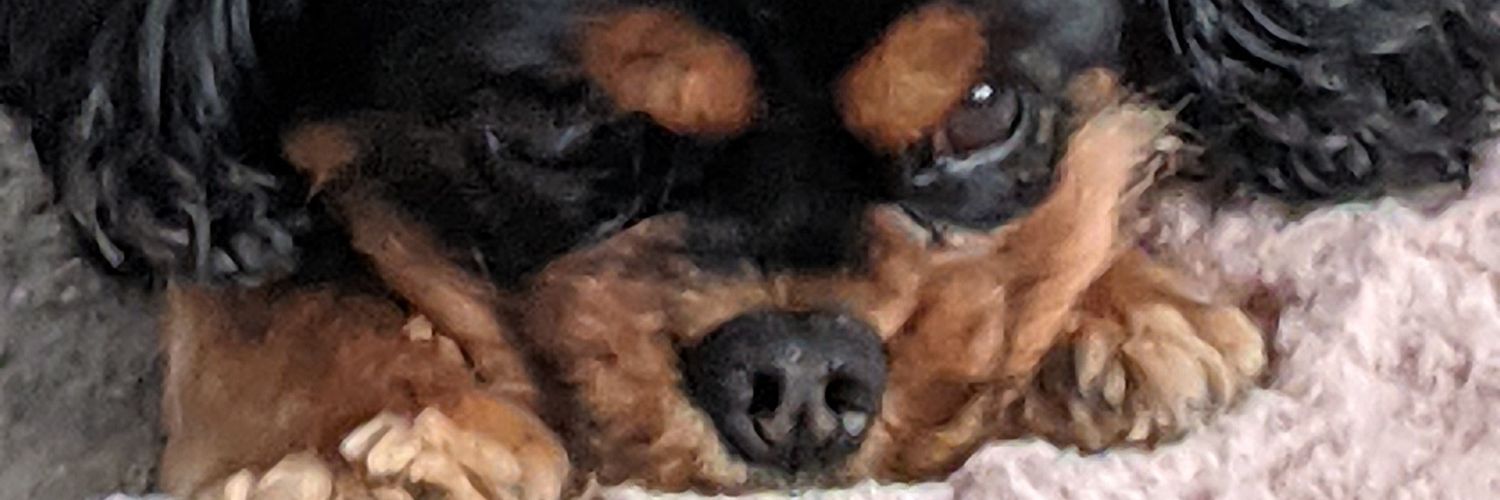 garywarne's profile banner image
