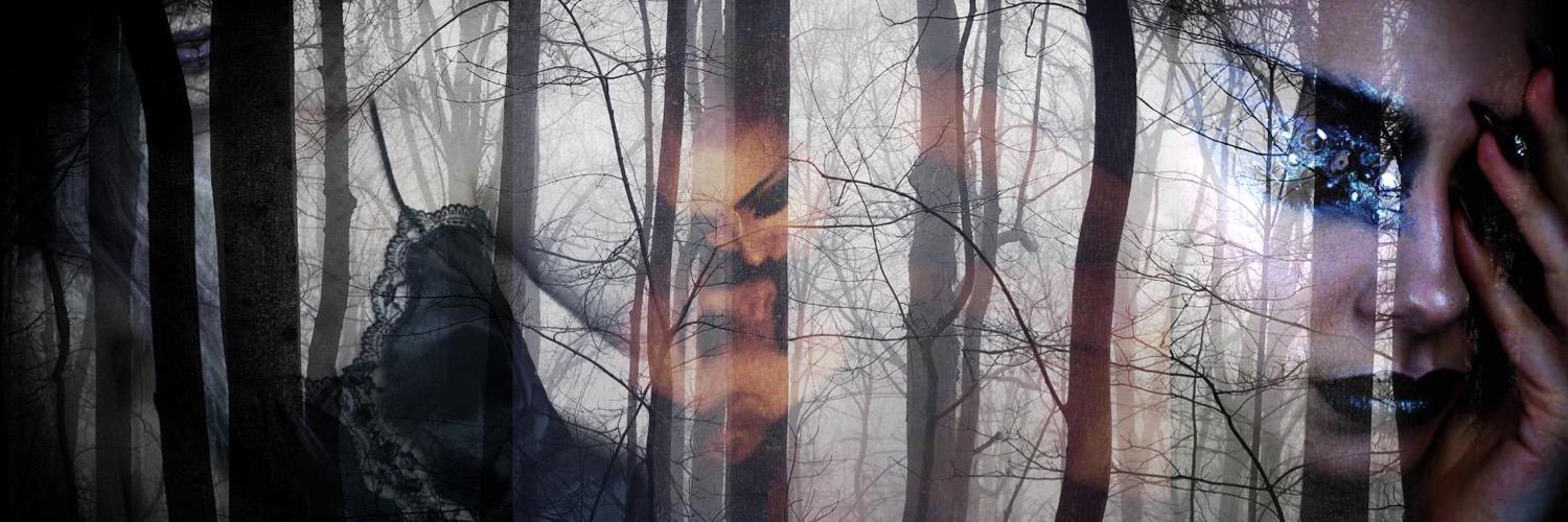 PeregrineDeity's profile banner image