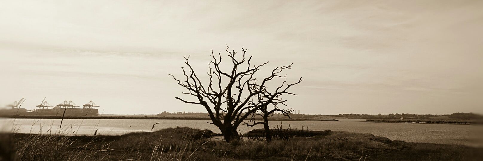 kam1976's profile banner image