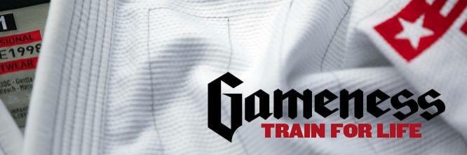 GamenessFightCo's profile banner image