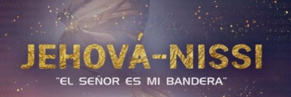 nancyjls's profile banner image