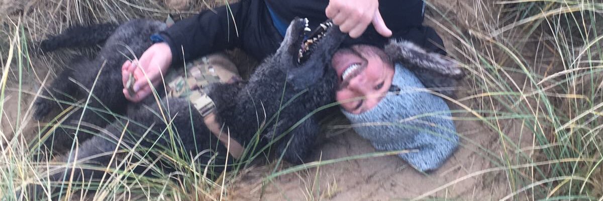 pnewman_'s profile banner image