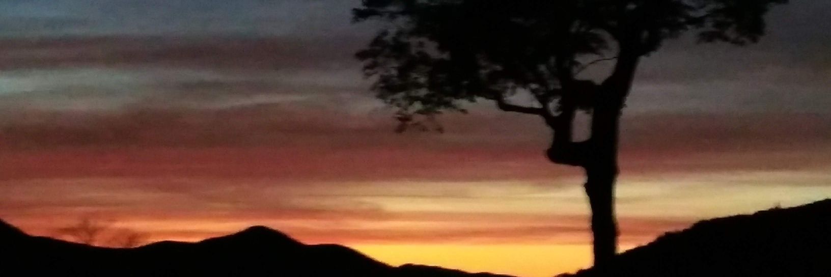 2hobbit1's profile banner image