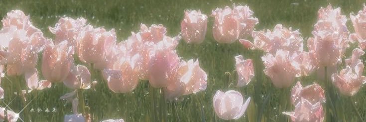 MaceeYarddd's profile banner image