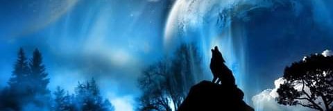 Shadow9Fox's profile banner image