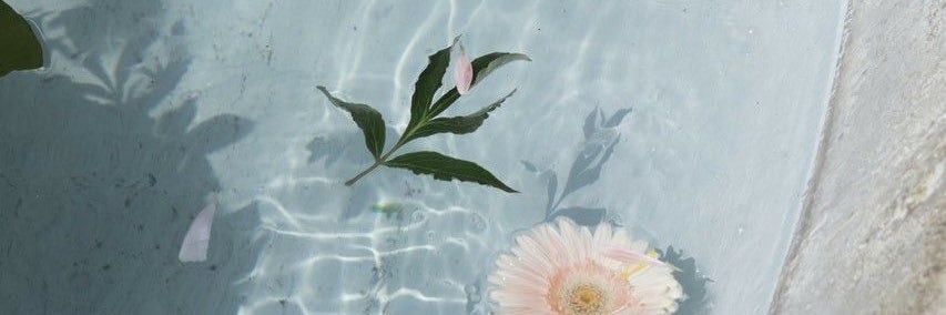 FRRdyba's profile banner image