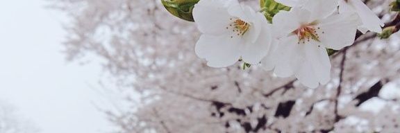 hakilin2's profile banner image