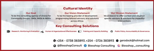BIESSHOPConsult Profile Banner