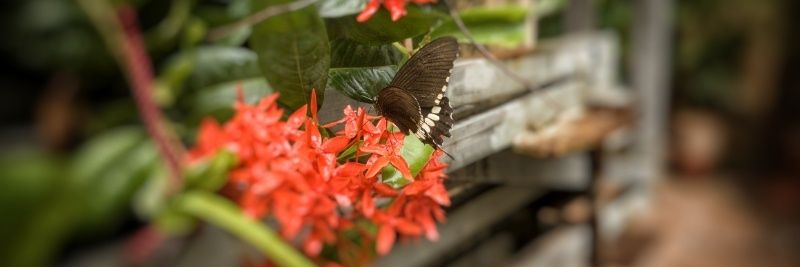 Pinakin Kulkarni banner