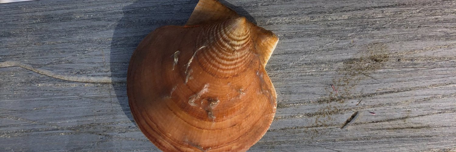 Dr. Damian C. Brady banner