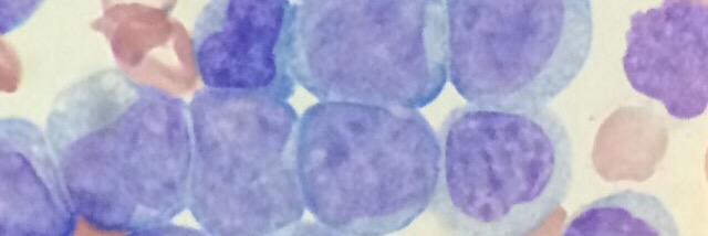 Pragati Tandon, MD (she/her) banner