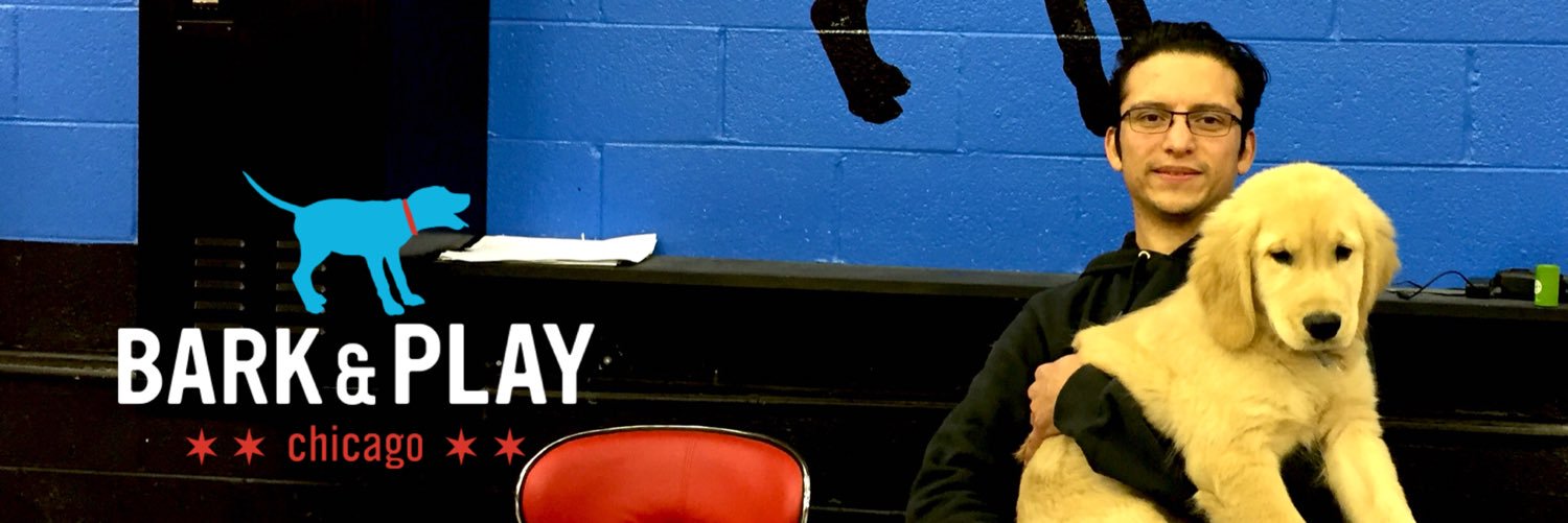 barkandplaychi's profile banner image