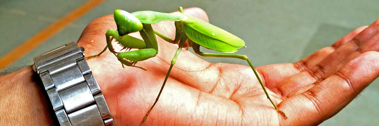 Prongs117's profile banner image