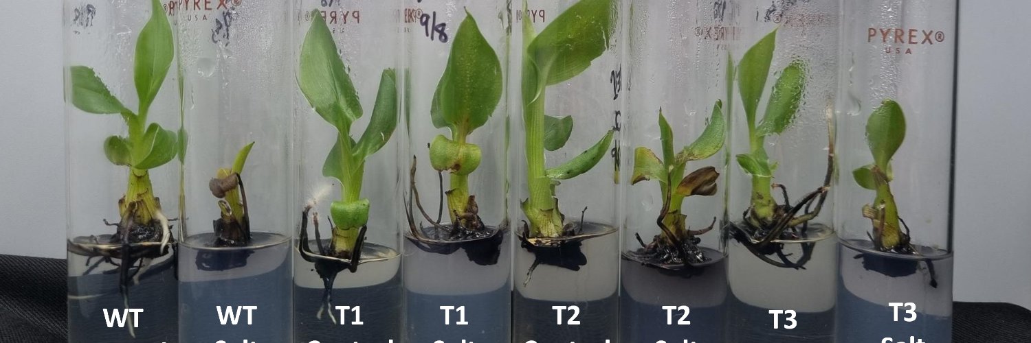 Eduardo Sánchez Timm banner