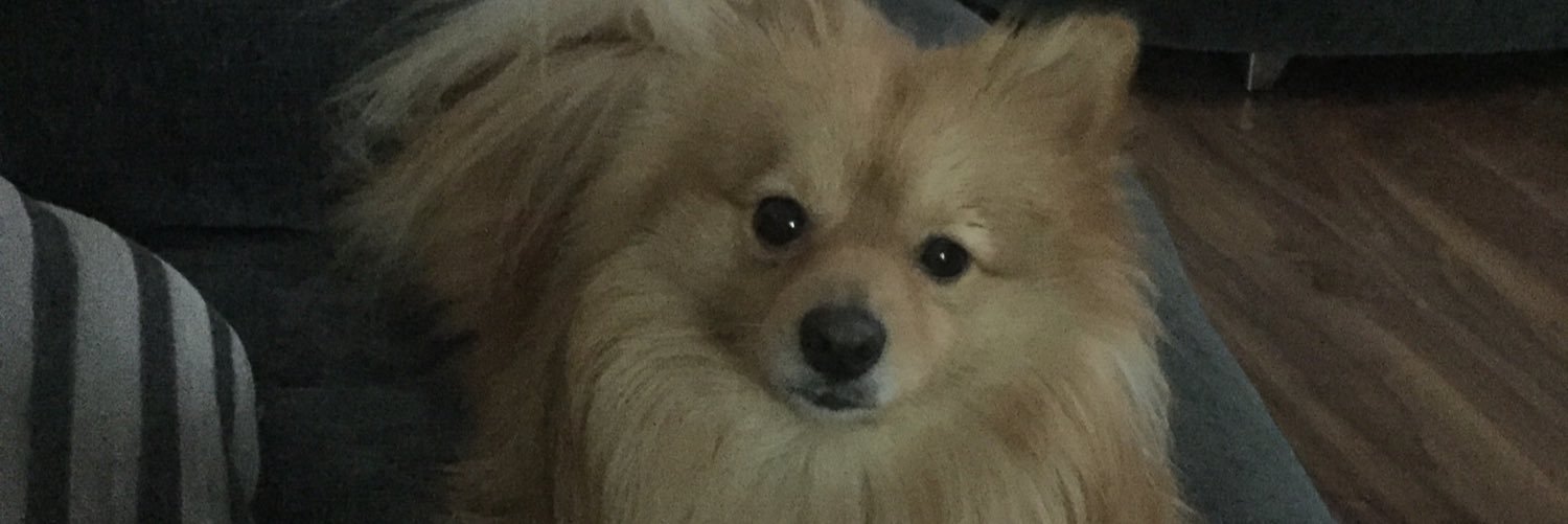 stacec4's profile banner image
