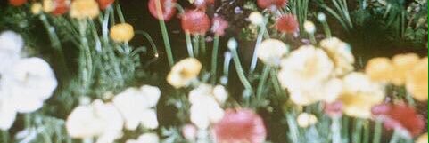 ___ii7_'s profile banner image