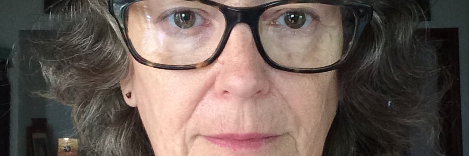 Gina McAuliffe banner