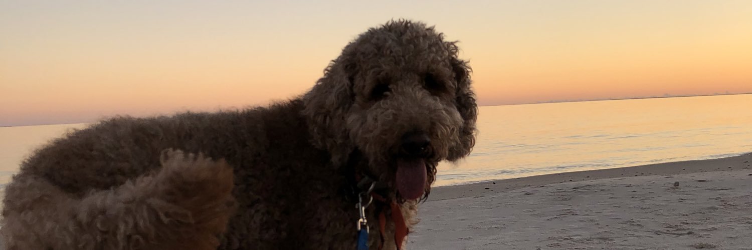 sslfoster's profile banner image
