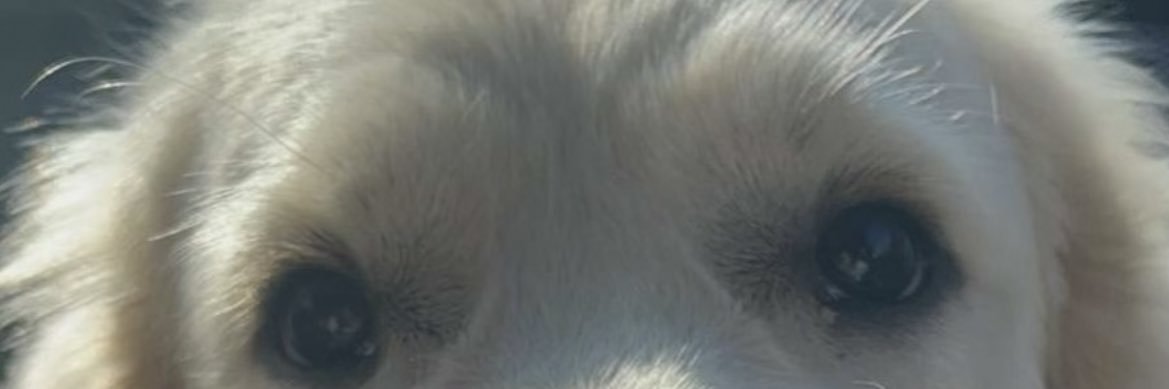 hugo__fcb's profile banner image