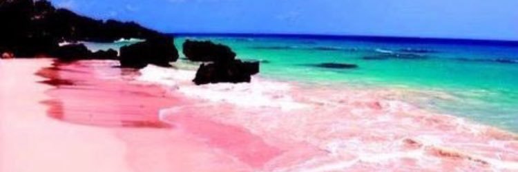 tracydawn83's profile banner image