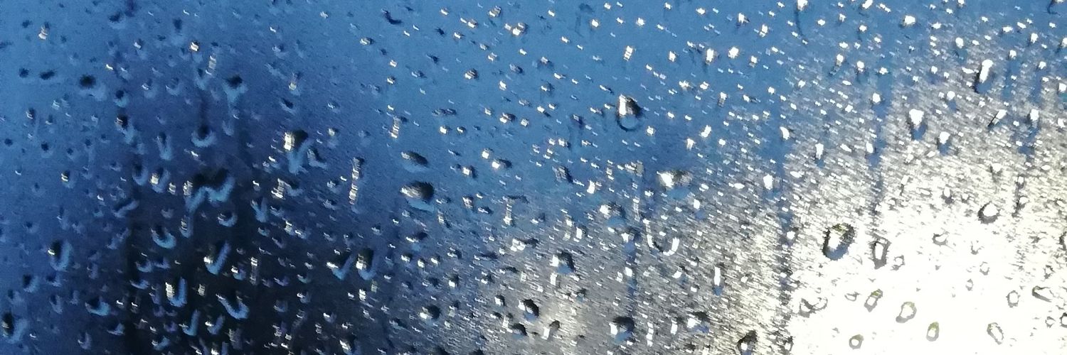sofypuccy23's profile banner image