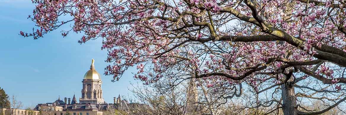 M Faggella-Luby banner