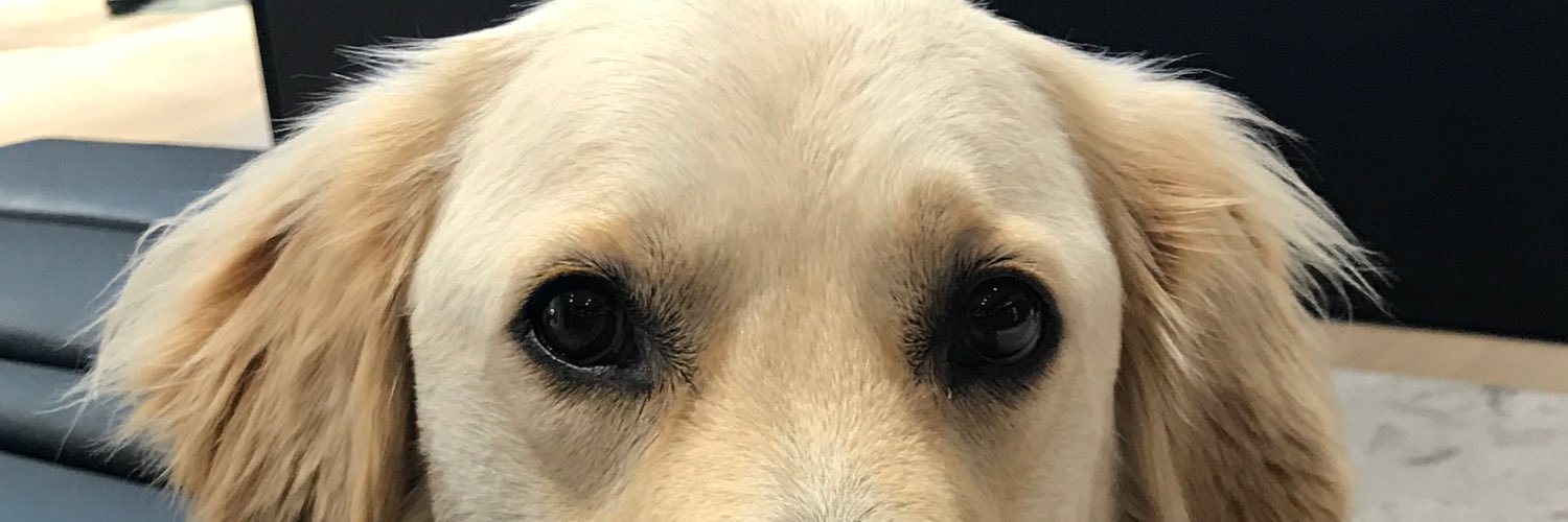 aczeldenrust's profile banner image