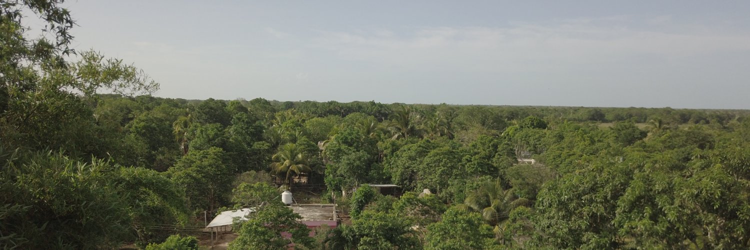 Alan Seideman banner