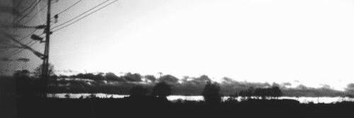 Shay banner