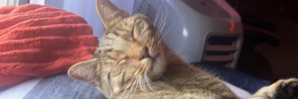 tmbastarache's profile banner image