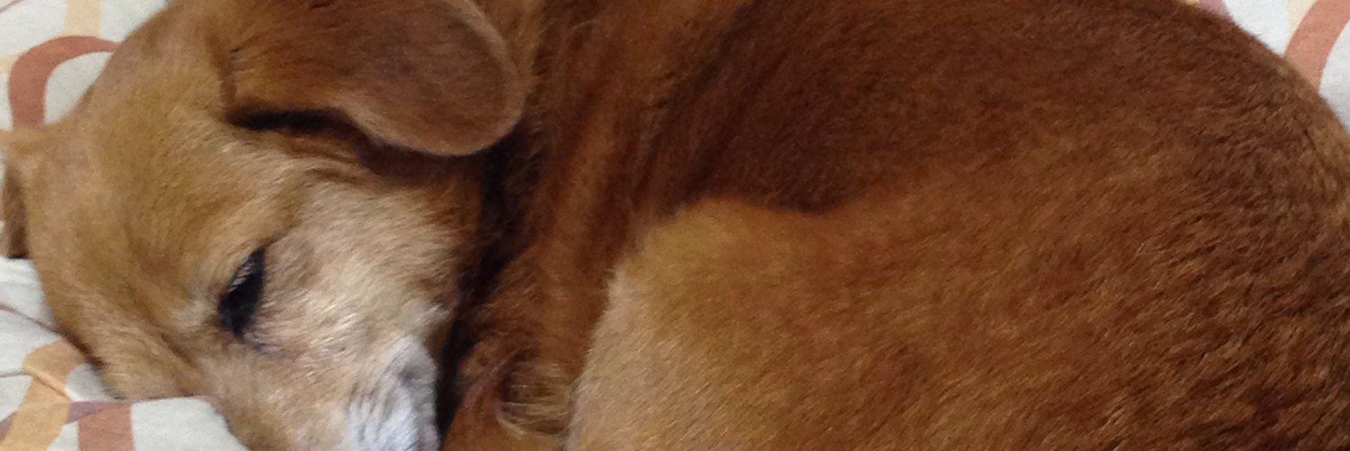mae_07_09's profile banner image