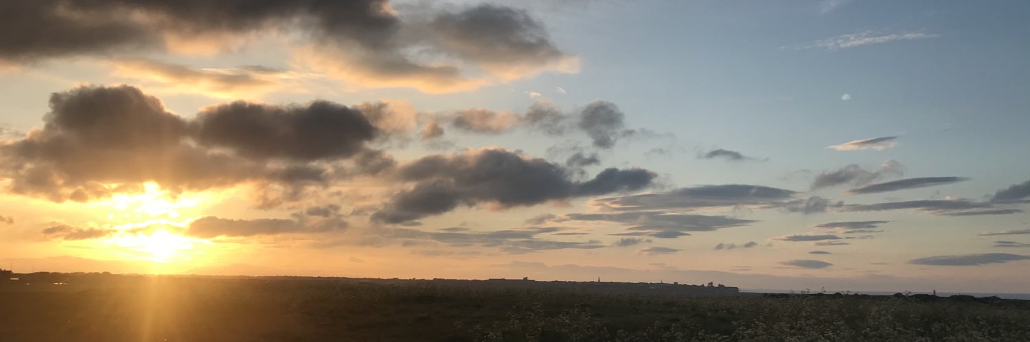 laulau25's profile banner image