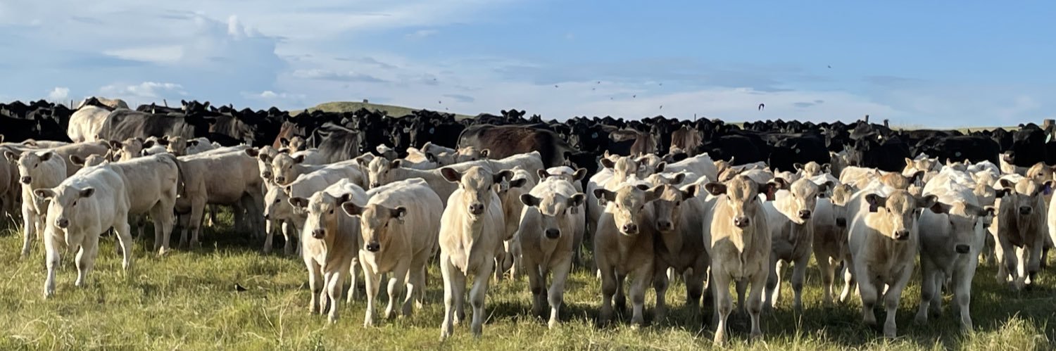SDBeerRanch's profile banner image