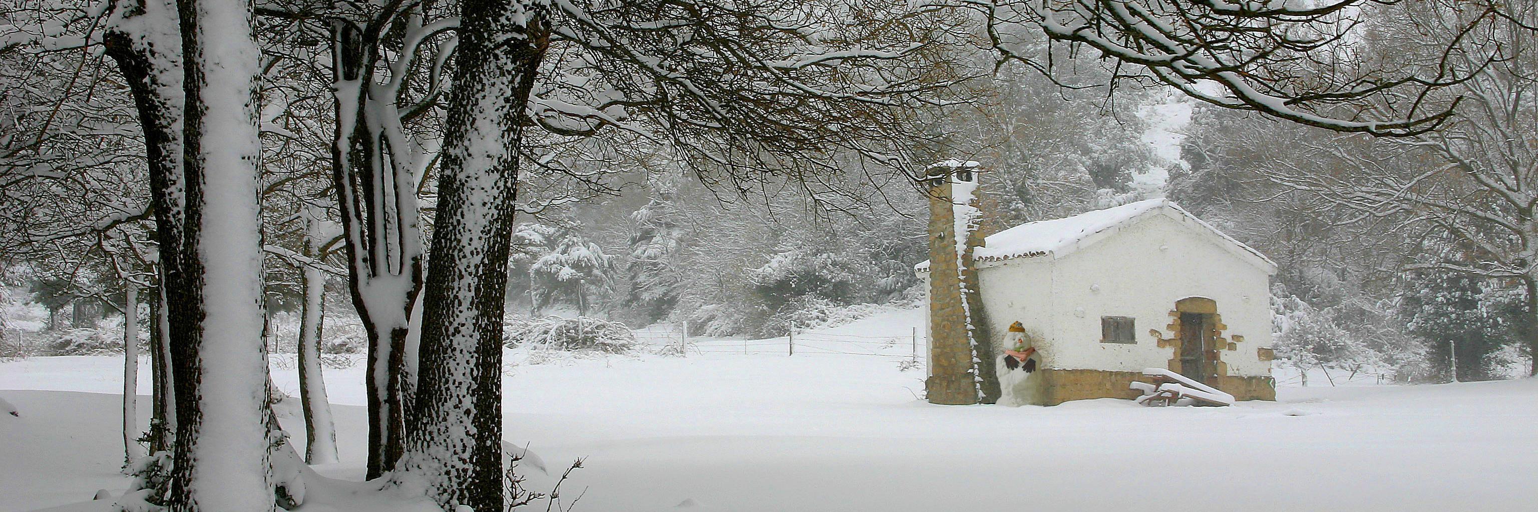 Adefo Cinco Villas banner