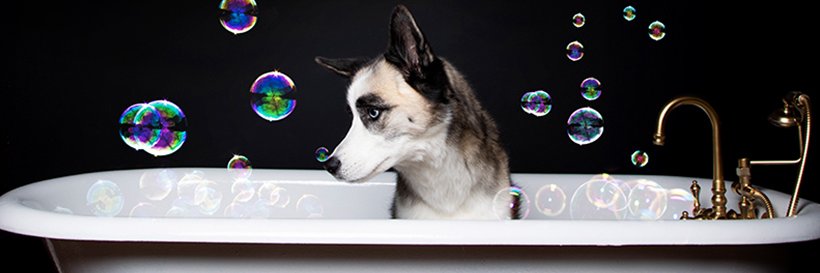 Kent Smith Photography banner