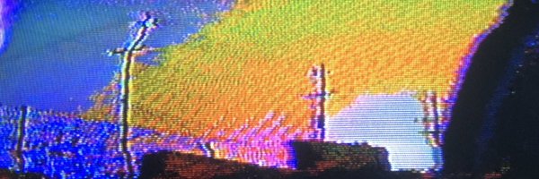 EXUVIALREMAINS Profile Banner