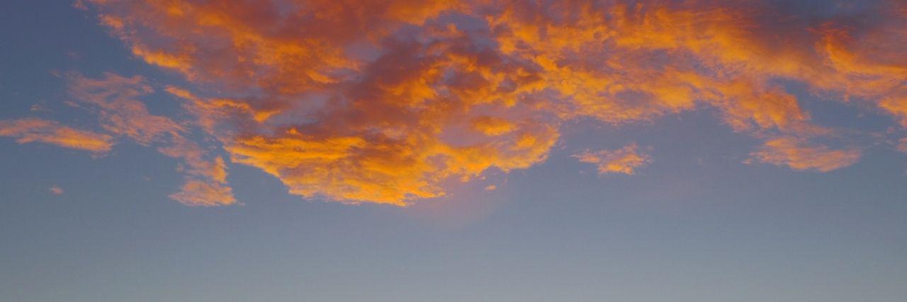 orfine2's profile banner image