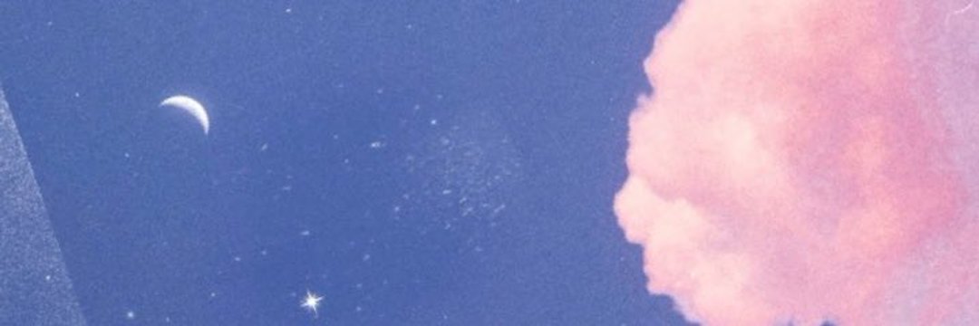 P8N's profile banner image