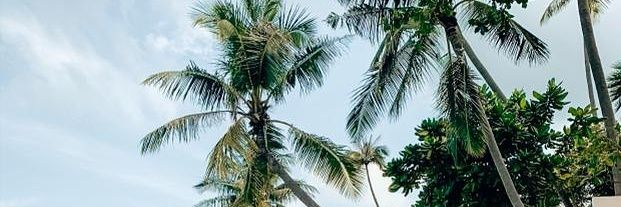 Keegz43's profile banner image