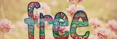 SofiaOliva's profile banner image