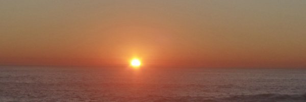 BabylonOwl Profile Banner