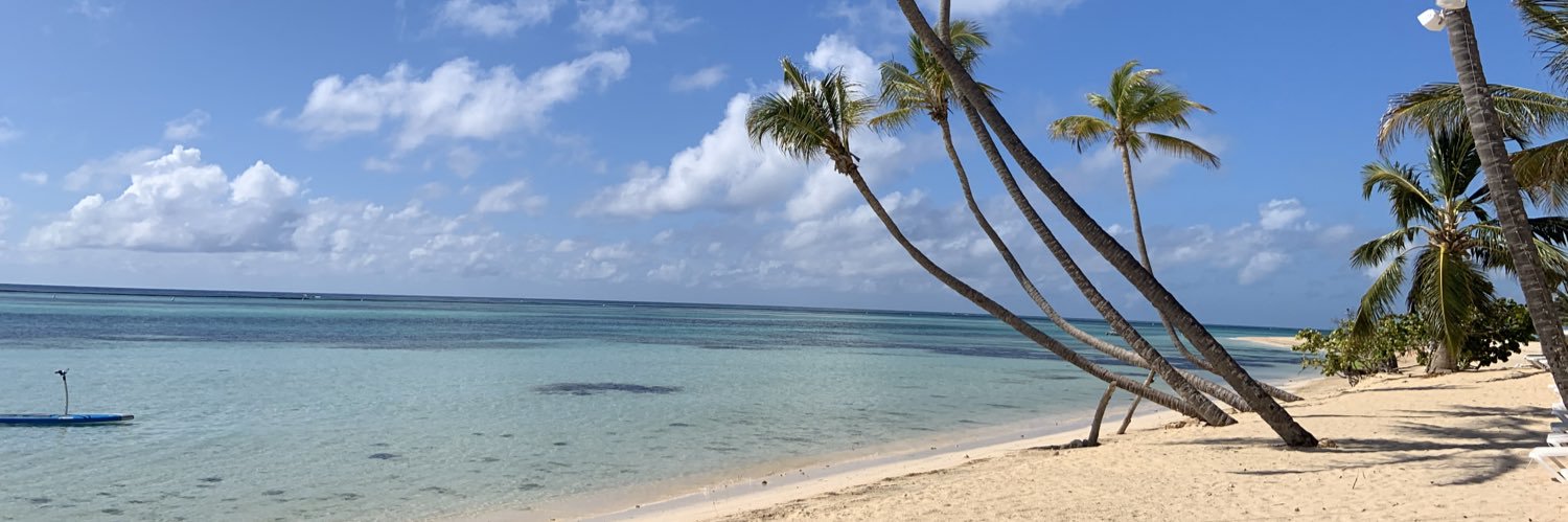 Benjamin Amar banner