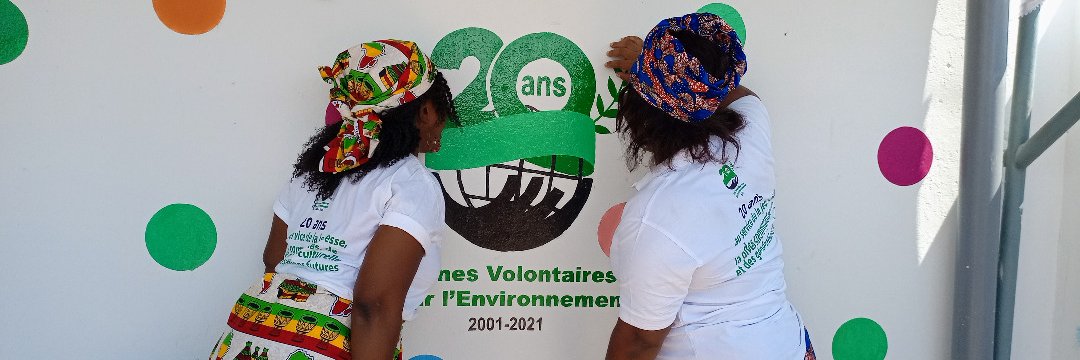 JVE International banner